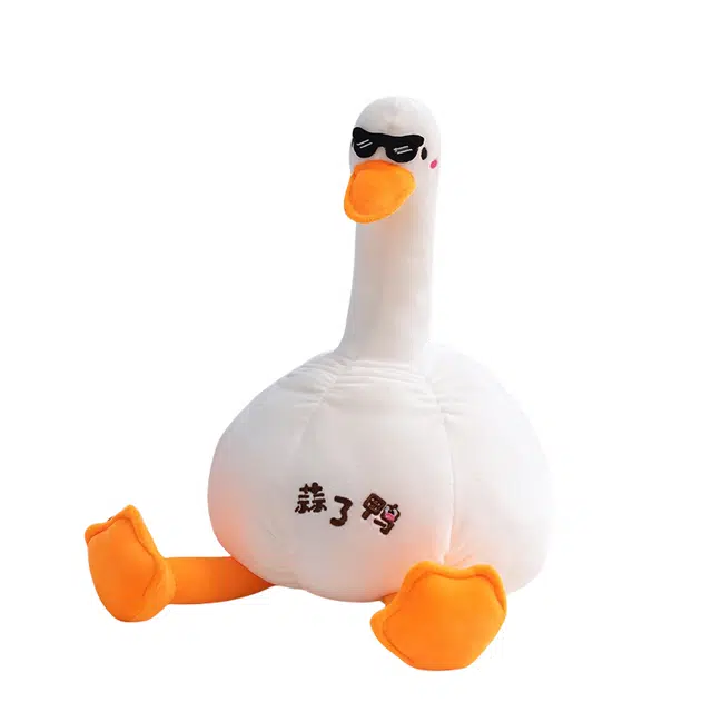 50cm