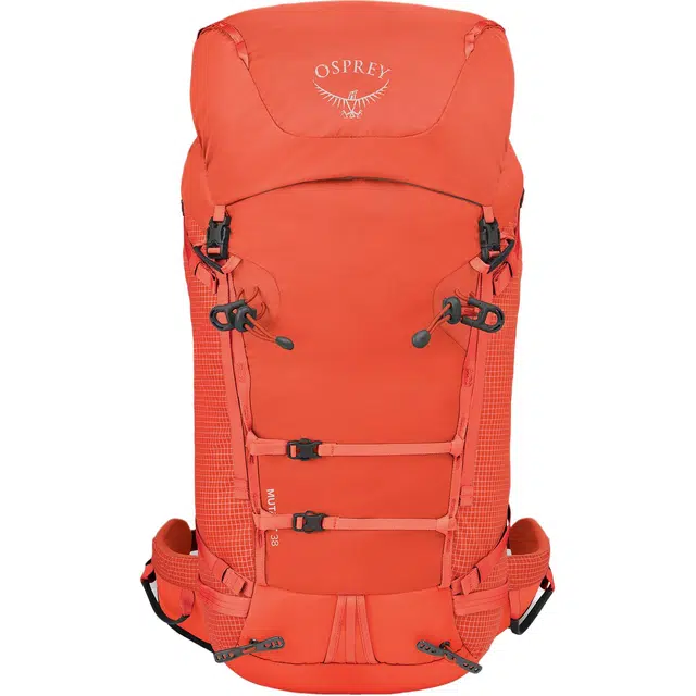OSPREY38L Mutant