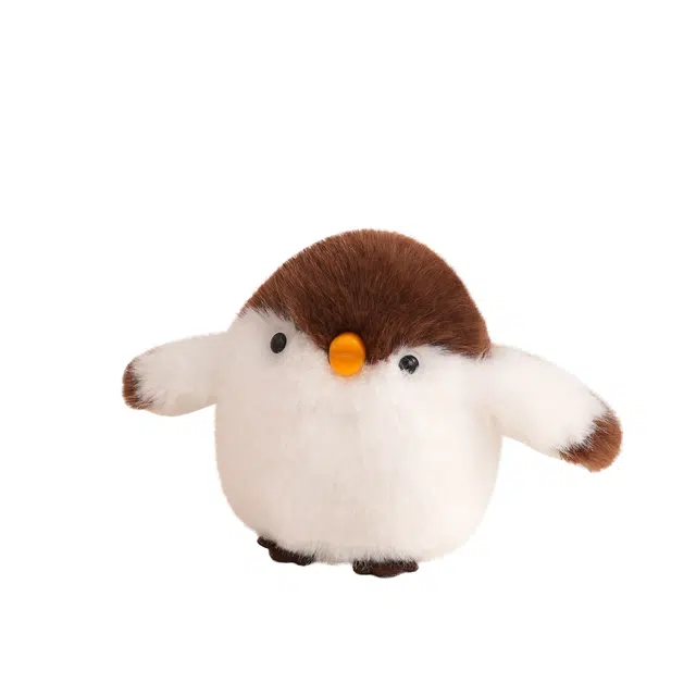 11cm