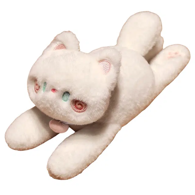 26cm