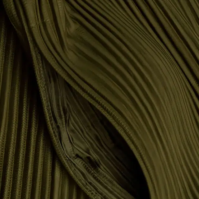 Homme Pliss Issey Miyake