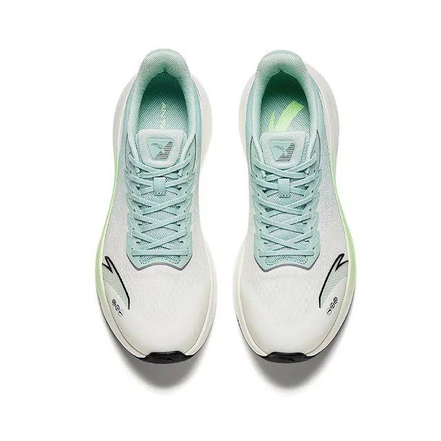 Anta 6
