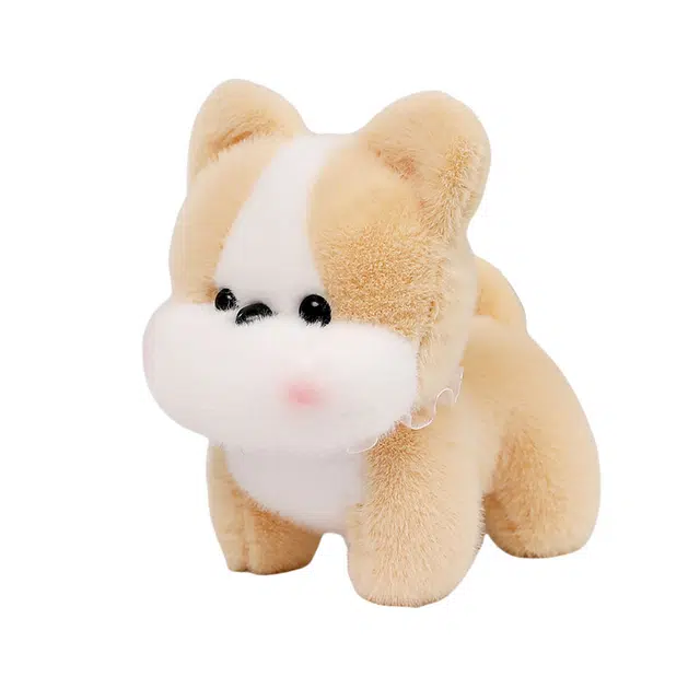 20cm