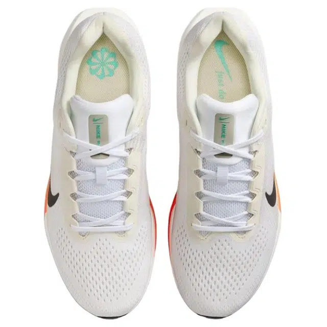 Nike AIR WINFLO 11
