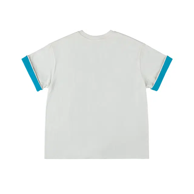 IDLT 480gTEEDT47T