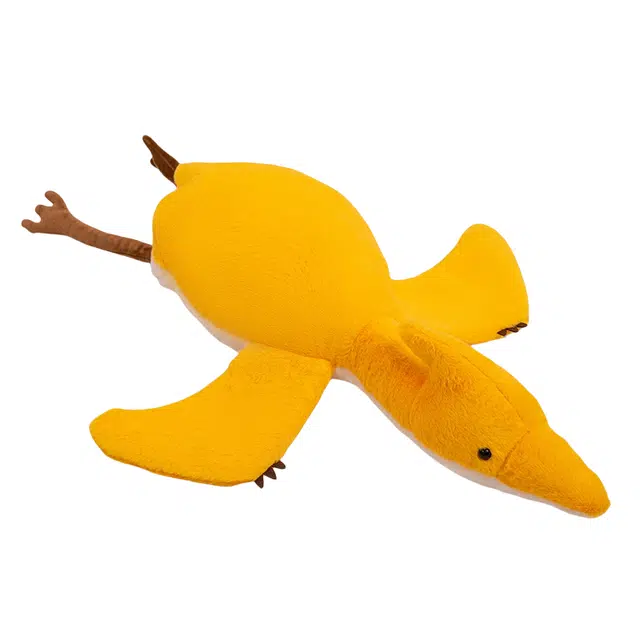 80cm100cm
