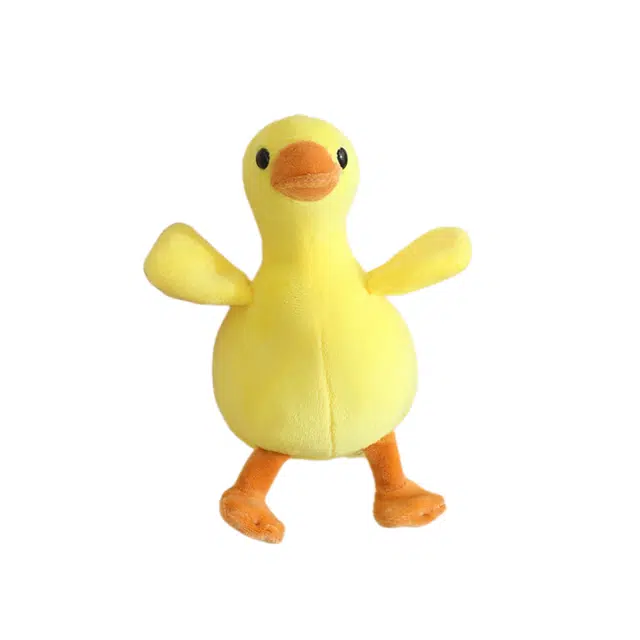 16cm35cm50cm