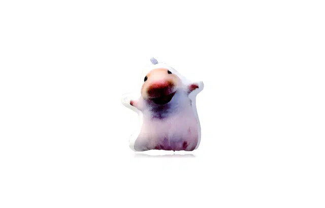 AEMC PP