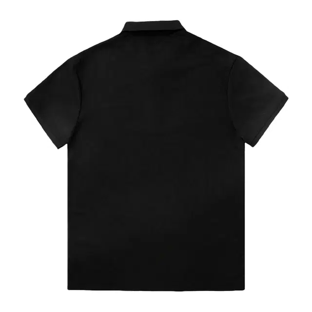 Arcteryx SKYLINE logo