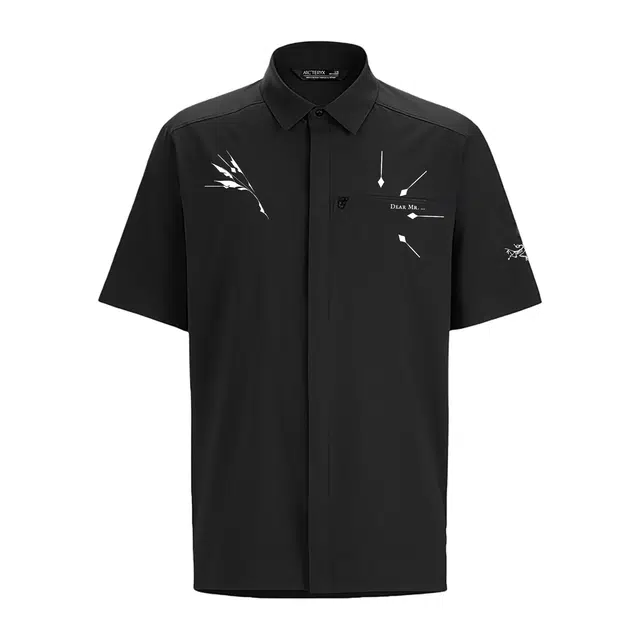 Arcteryx SKYLINE logo
