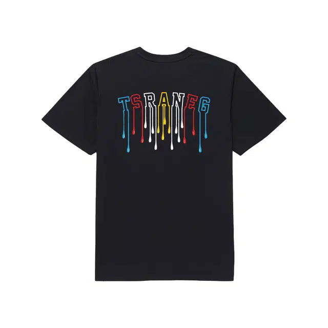 DESCENTE TOUGH Logo ANEG T