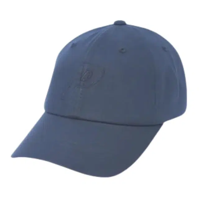 PALACE -