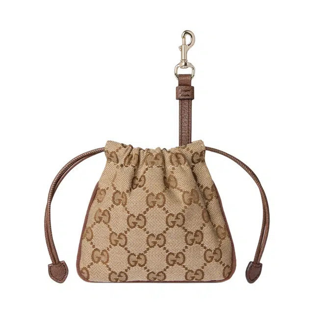 GUCCI POUCH GG nano