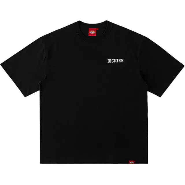 Dickies s logo T DK0A87MK
