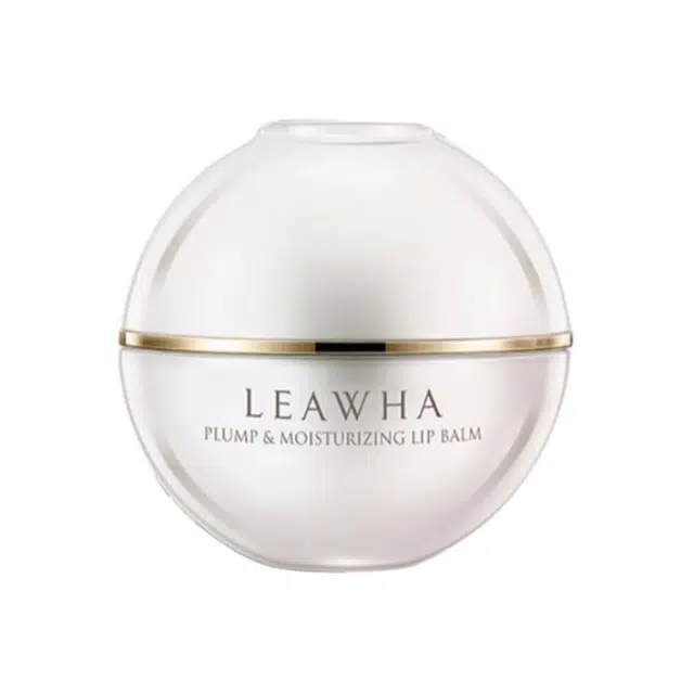 LEAWHA 4g*2