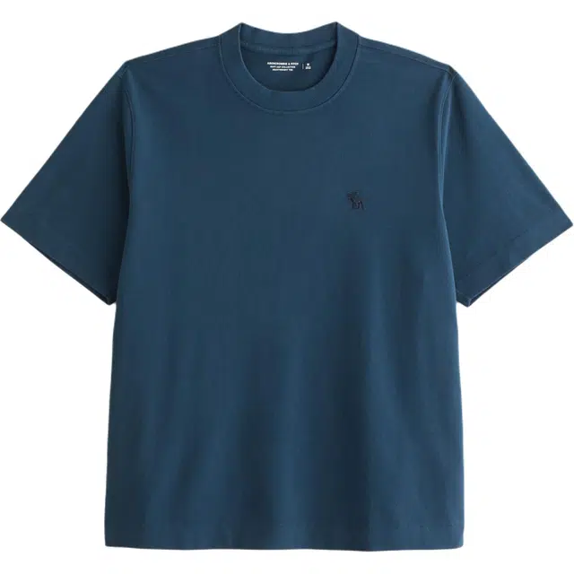 AbercrombieFitch T