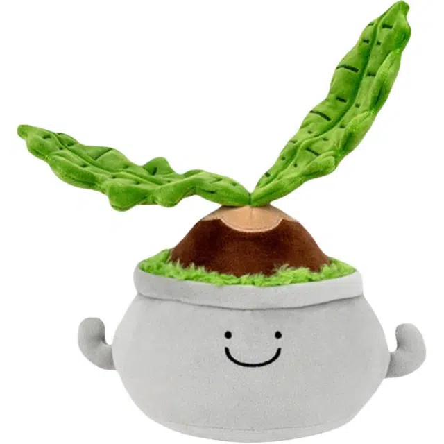 JBBCN 25cm