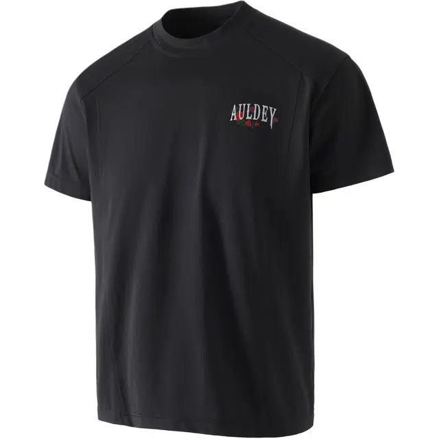 AULDEY logoT