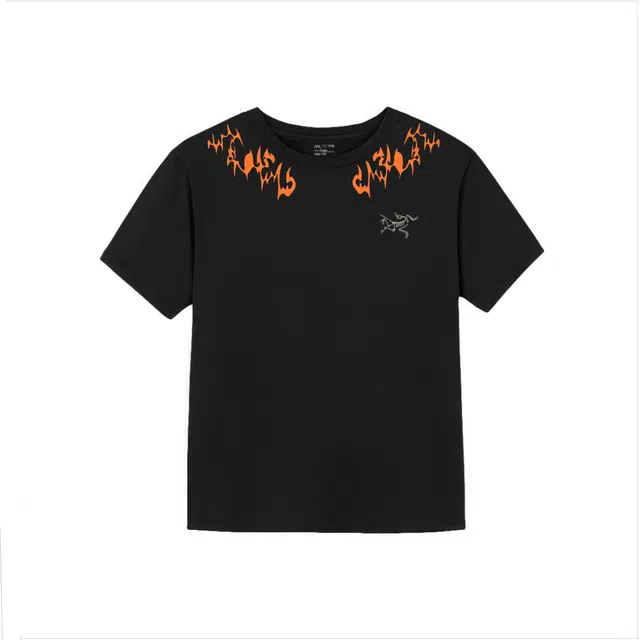 Arcteryx T
