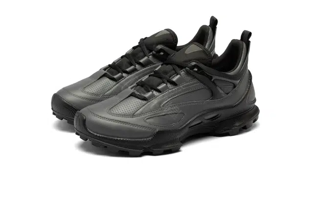 ecco Biom C Trail