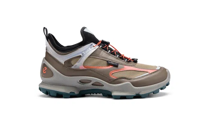 ecco Biom C Trail