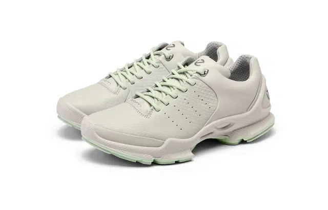 ecco Biom C
