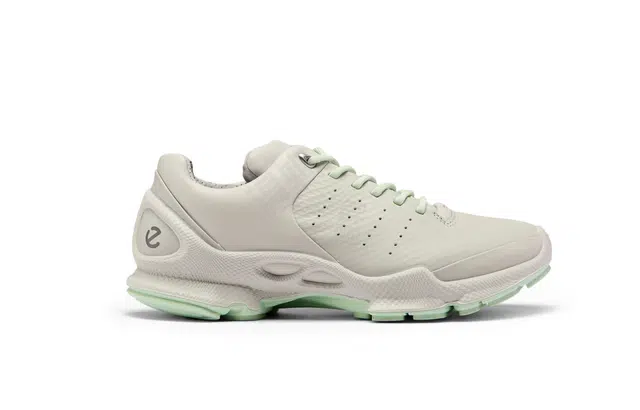 ecco Biom C