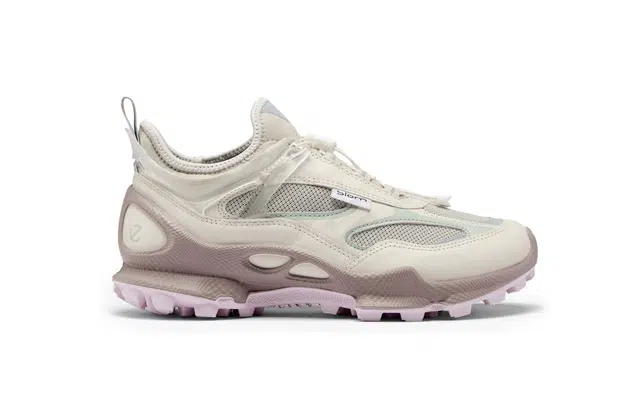 ecco Biom C Trail