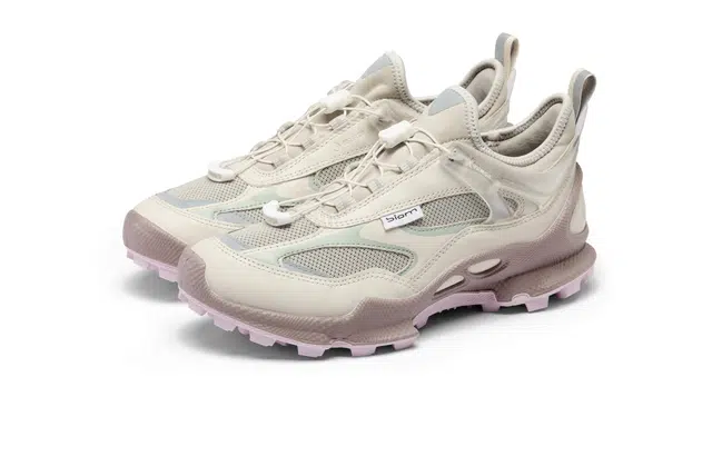 ecco Biom C Trail