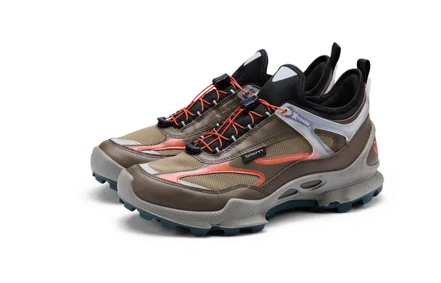 ecco Biom C Trail