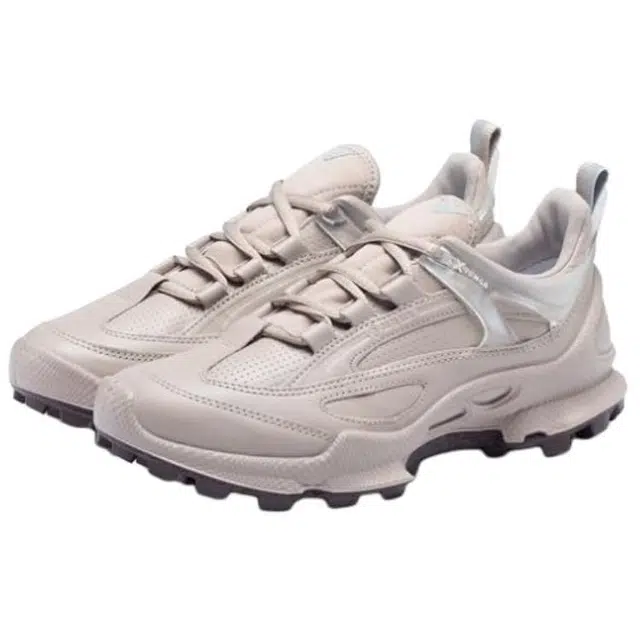 ecco Biom C Trail