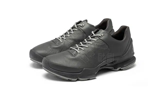 ecco Biom C