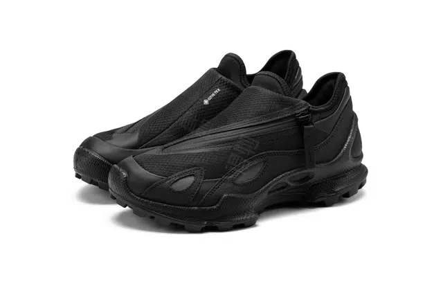 ecco Biom C Trail