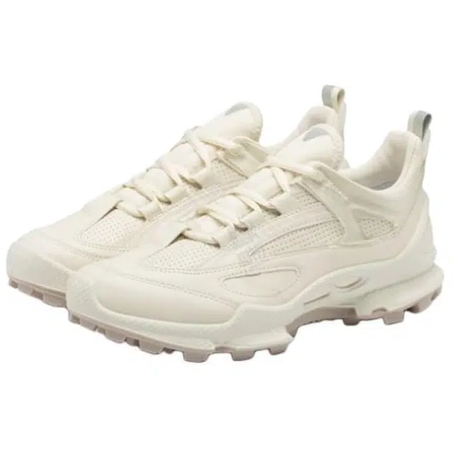 ecco Biom C Trail
