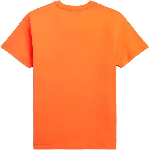 Polo Ralph Lauren T