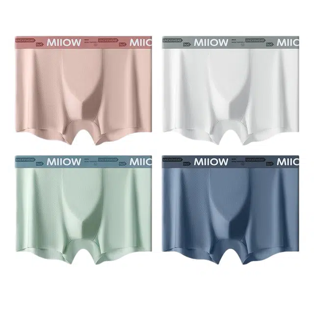 MIIOW 100 4