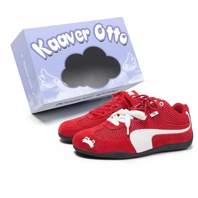 KAAVER OTTO