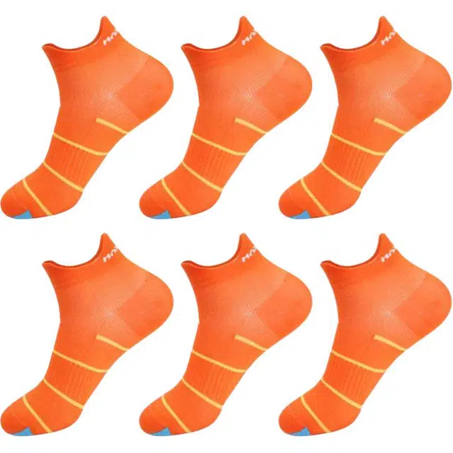 MAXDAVID