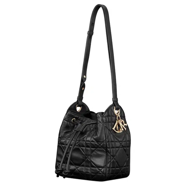 DIOR D-Motion