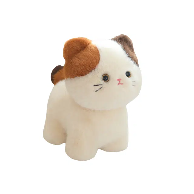 20cm