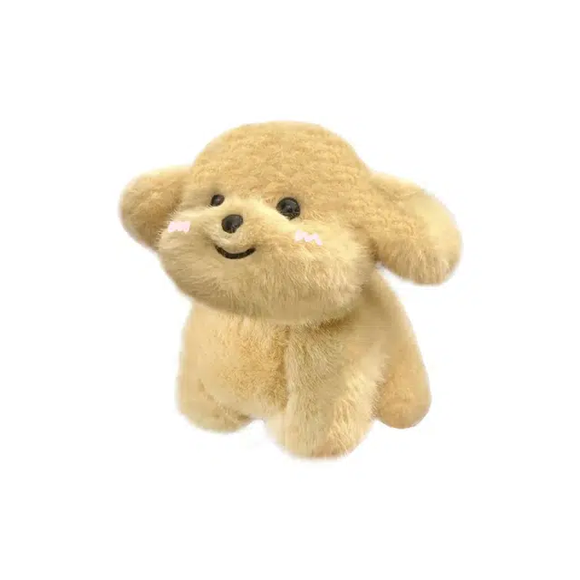25cm