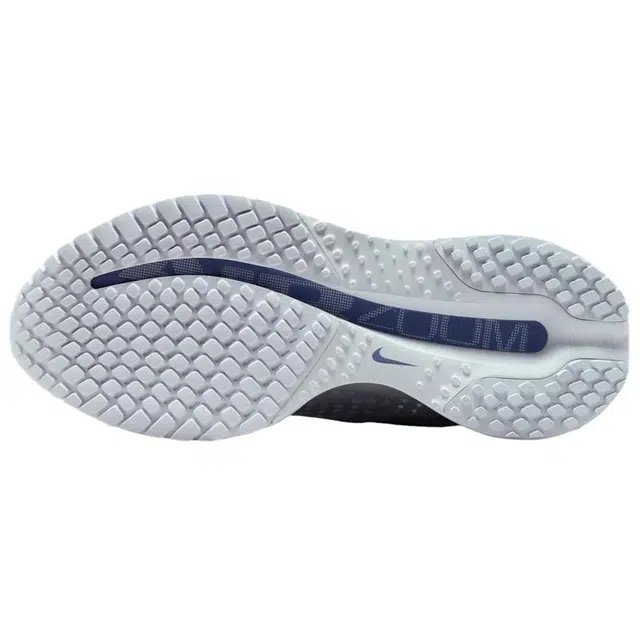 Nike Pegasus Premium