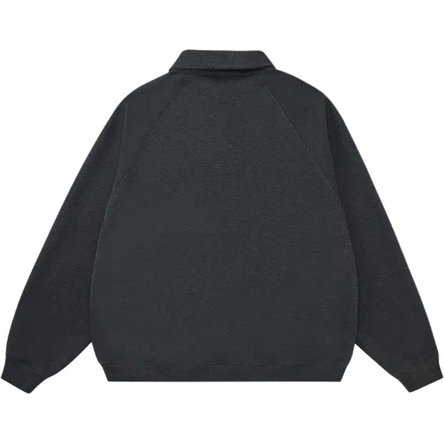 RASS polo