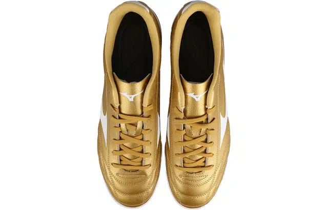 Mizuno Folgado AS