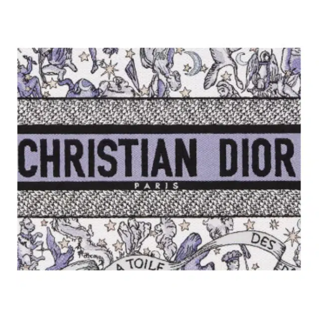 DIOR BookTote Tote