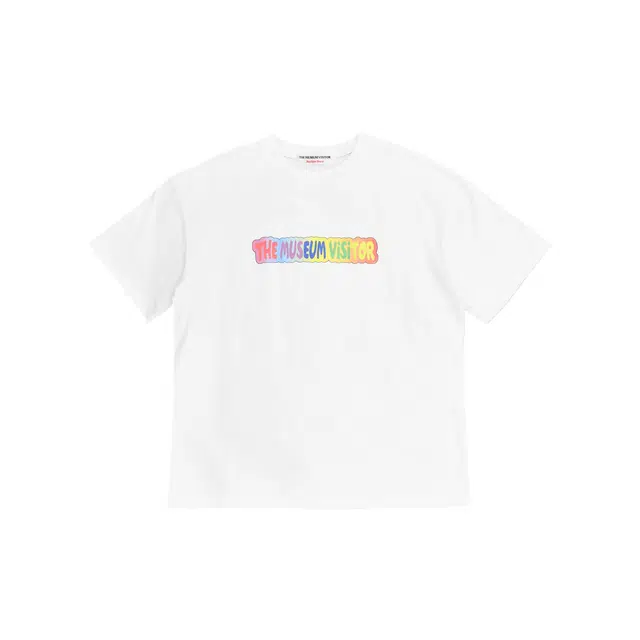 THE MUSEUM VISITOR T