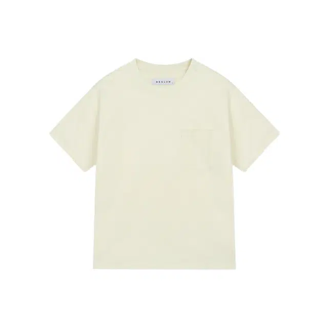 BESLOW T