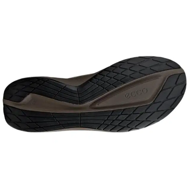 ecco Biom 2.2
