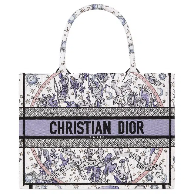 DIOR BookTote Tote