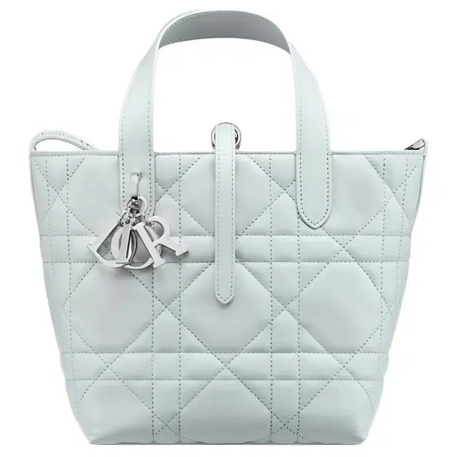 DIOR Toujours Tote